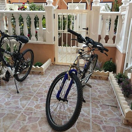 Beach Dream Apartment La Mata  Zewnętrze zdjęcie