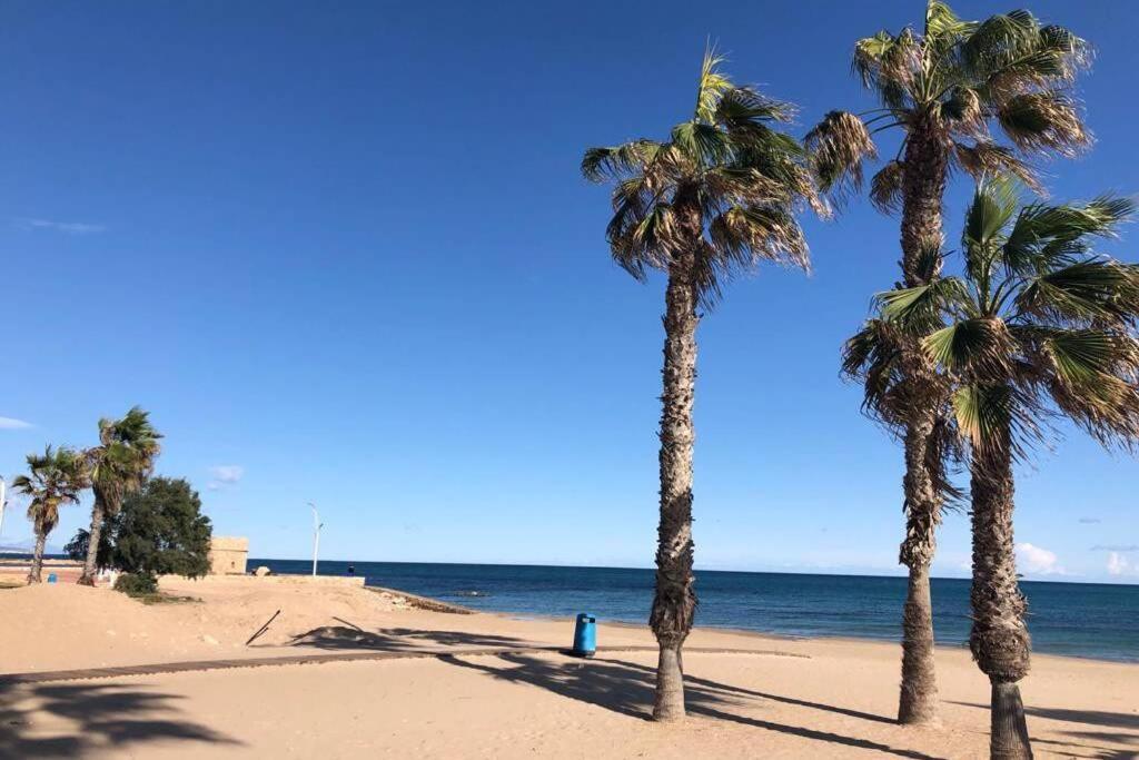 Beach Dream Apartment La Mata  Zewnętrze zdjęcie