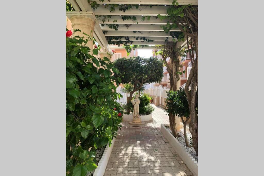 Beach Dream Apartment La Mata  Zewnętrze zdjęcie