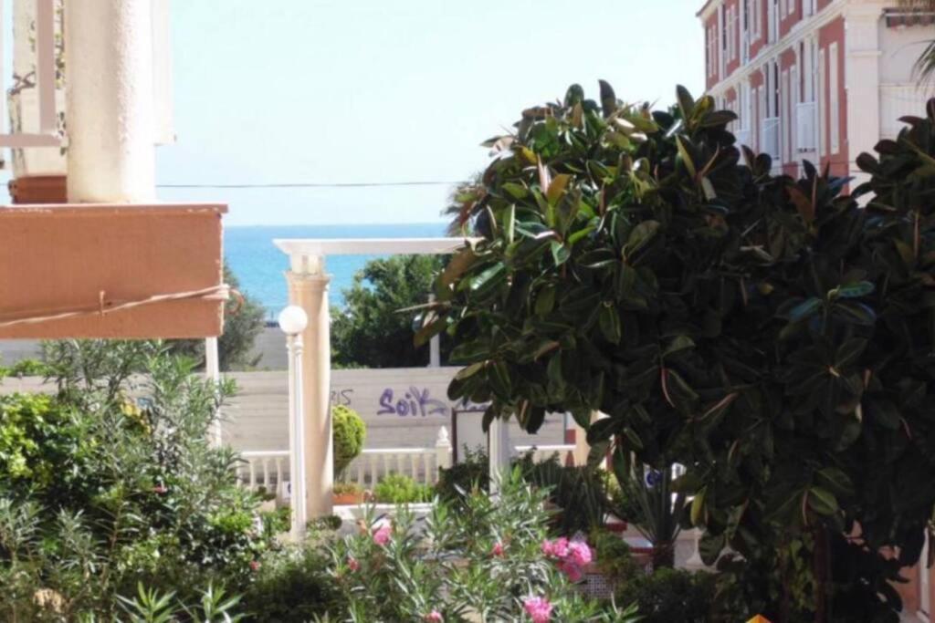 Beach Dream Apartment La Mata  Zewnętrze zdjęcie