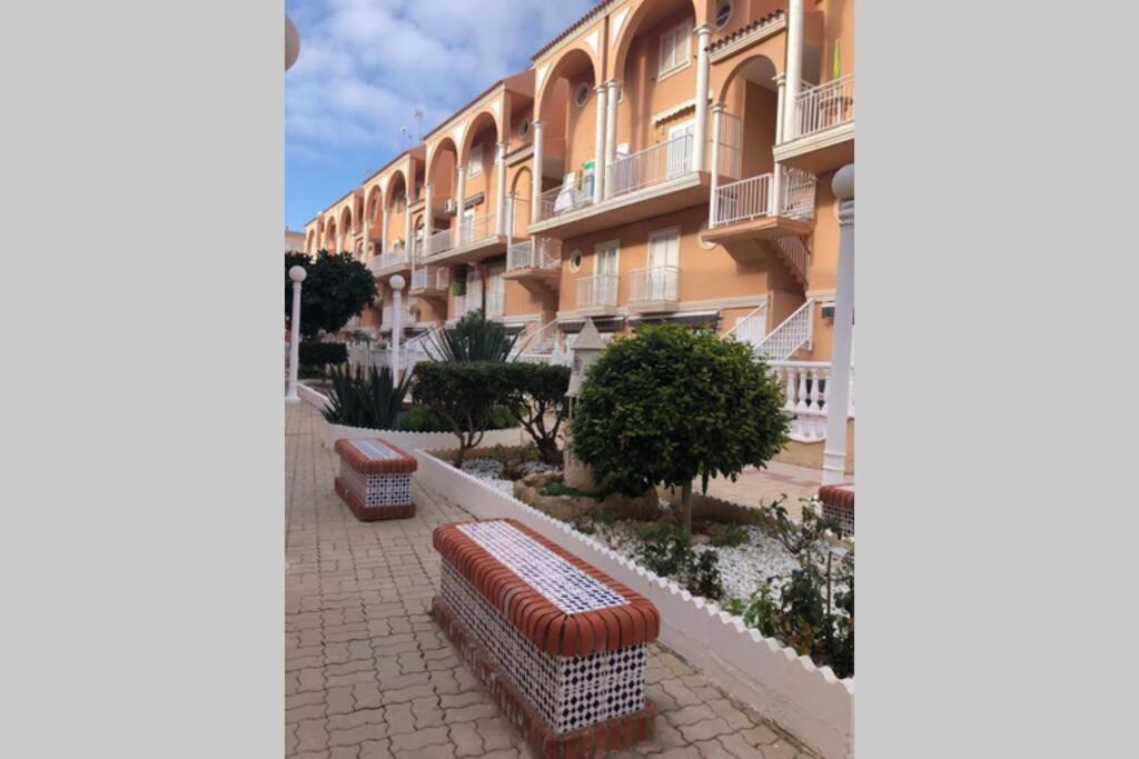Beach Dream Apartment La Mata  Zewnętrze zdjęcie