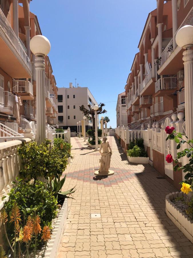 Beach Dream Apartment La Mata  Zewnętrze zdjęcie