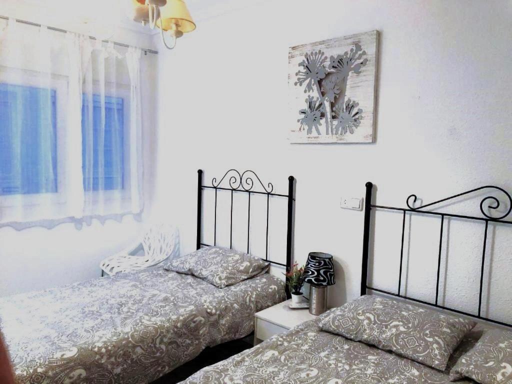 Beach Dream Apartment La Mata  Zewnętrze zdjęcie